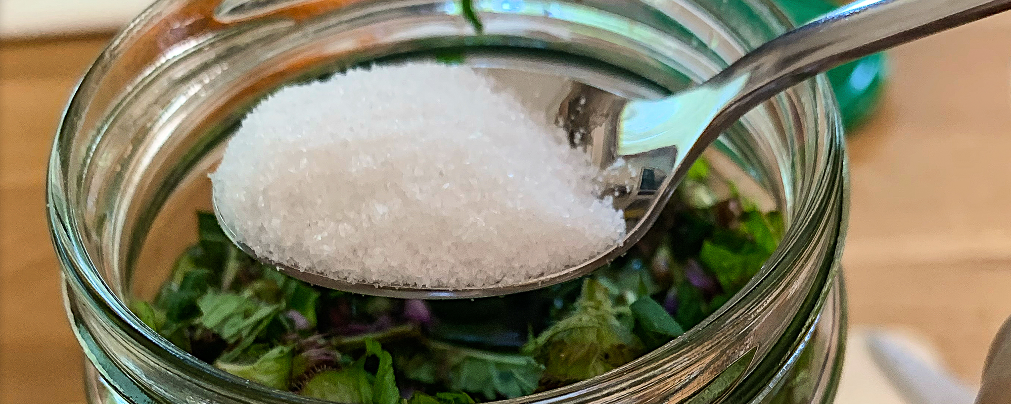 Kräutersole – flüssiger Salzstreuer